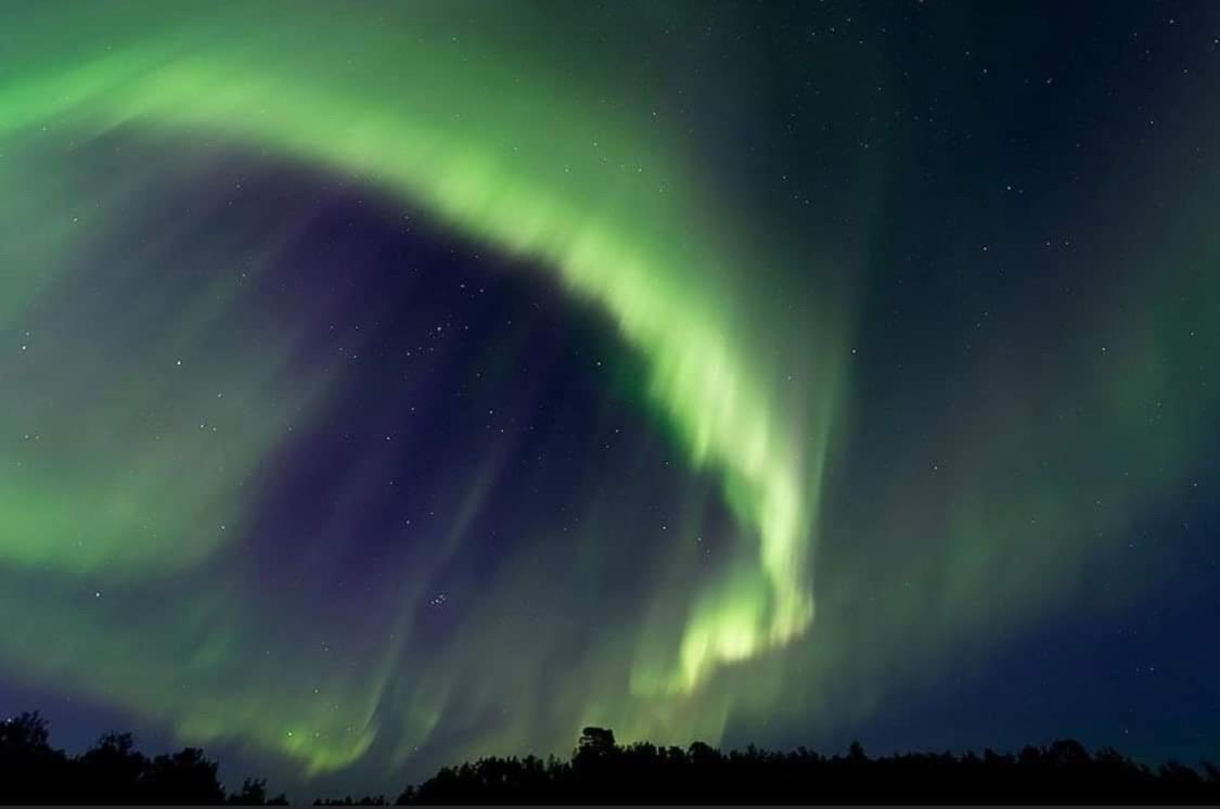 Northern Light Huts - Paradise Lapland 基律纳 外观 照片