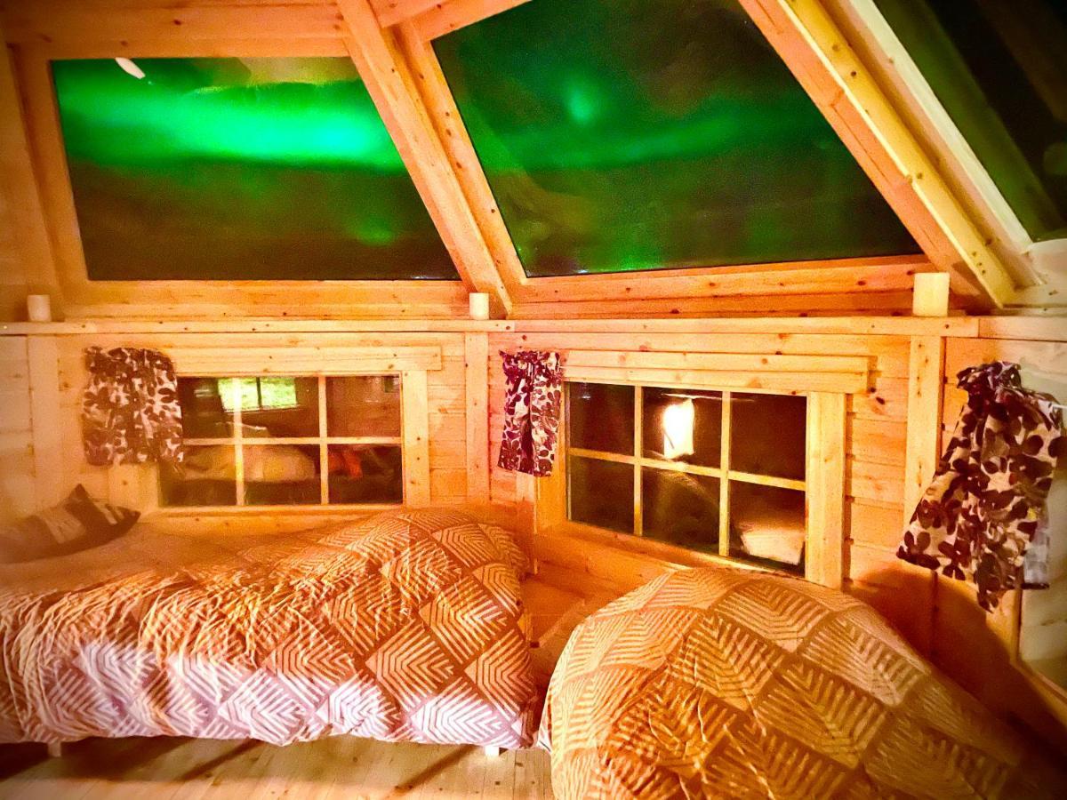 Northern Light Huts - Paradise Lapland 基律纳 外观 照片