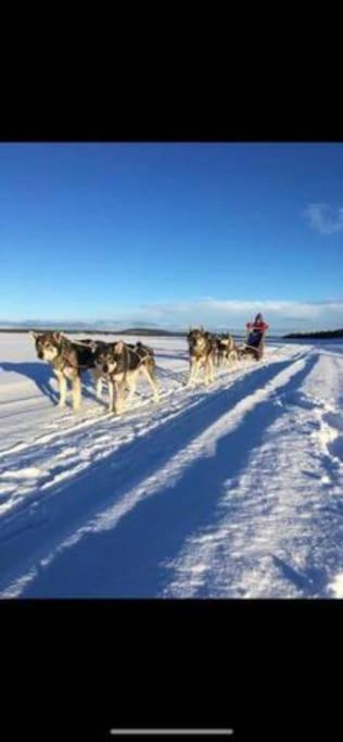 Northern Light Huts - Paradise Lapland 基律纳 外观 照片