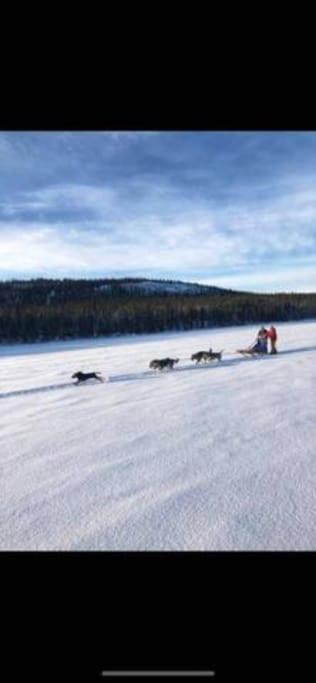 Northern Light Huts - Paradise Lapland 基律纳 外观 照片