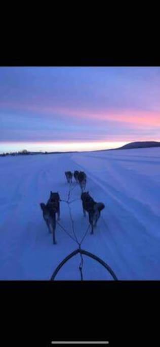 Northern Light Huts - Paradise Lapland 基律纳 外观 照片